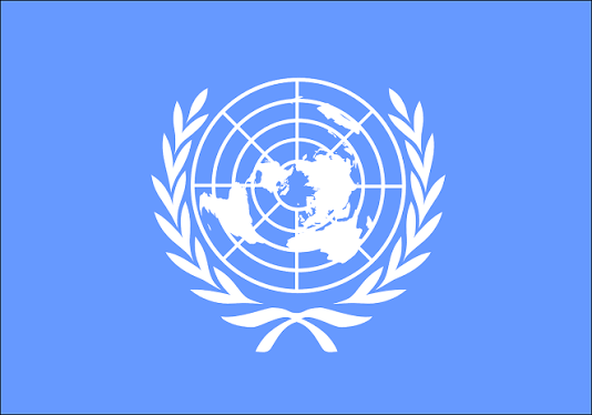 UN Partner Portal (UNPP)